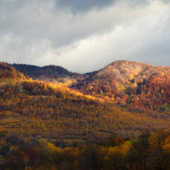 с.Вишка Закарпаття