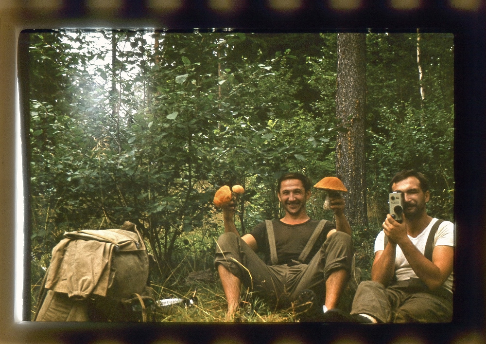 Грибной человек. Грибной человек фильм 1976. Фильм грибной человек Мексика. Грибной человек фильм 1980.