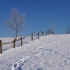 следы на снегу