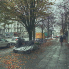 Из серии "Осень пришла" Гамбург