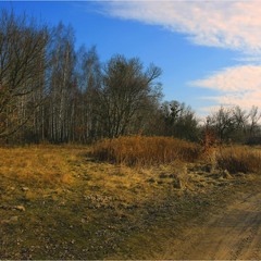 Серія "Паркові походеньки". Шляхи весни
