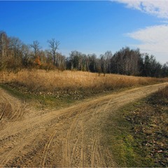 Серія "Паркові походеньки". Шляхи весни (2)
