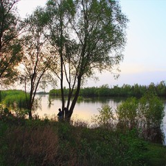 Серія "Паркові походеньки". Вечір
