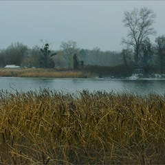 Танок білих мух