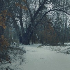 Паркова доріжка