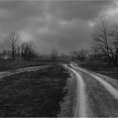 Різними шляхами