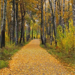 Дихає прозора прохолода