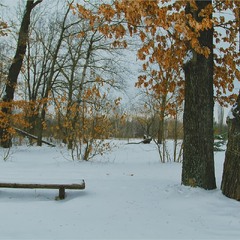 Замальовка «Снігова ковдра»