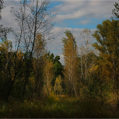 Серія "Куточок великого міста" . Осінь