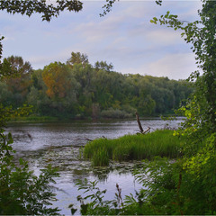 Серія "Куточок великого міста" . У неділю на Дніпрі