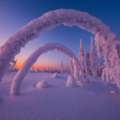 Ворота у зиму