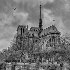 Notre Dame de Paris - 850 ans