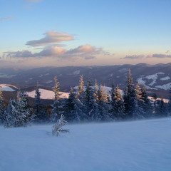 Панорама ранково-зимових Карпат