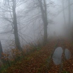 Турік в тумані