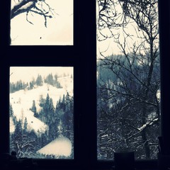 віконце в зиму