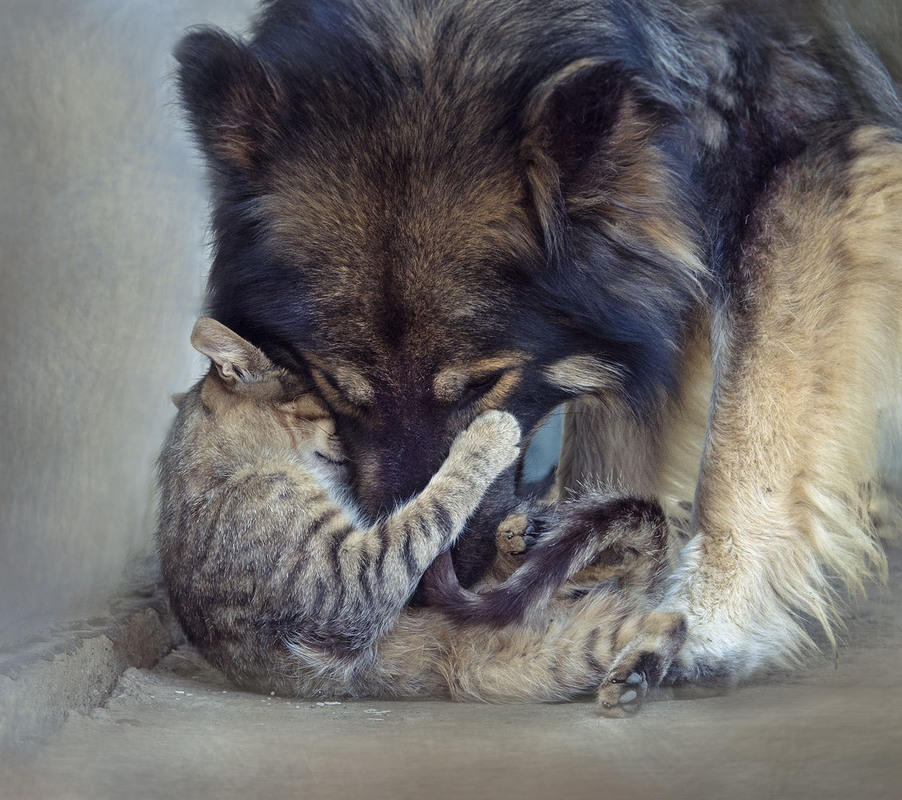 ������� �������� ������� ������� � ������