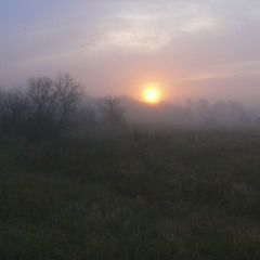 Ранковий туман.