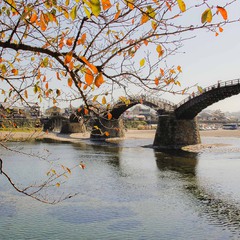 by Kintai bridge