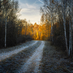 Останній подих осені перед зимою