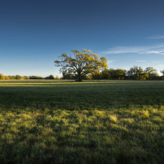 Літо на прощання