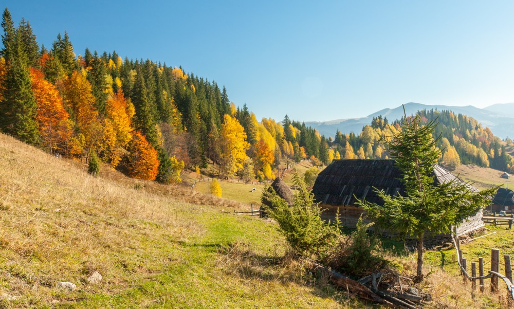 Карпаты Дземброня