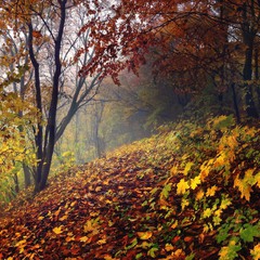 Кольорова осінь