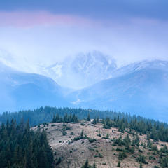 Шматочок Чорногори