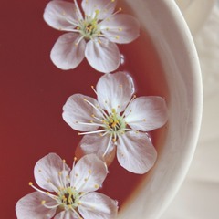 Cherry tea