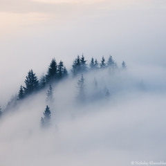 В тумане
