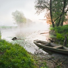 туманом окутана пойма реки