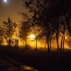 нічний туман