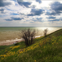 Азовское побережье весной