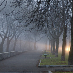 утро туман