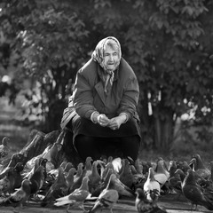 Жінка і голуби