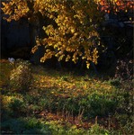 Вранішня замальовка