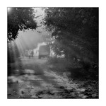 Міські тумани...