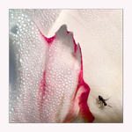 Вранішній моціон