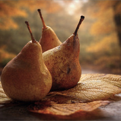 Десерт на свіжому повітрі