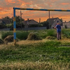 Піт заливає яснії очі-машеш косою зранку до ночі...