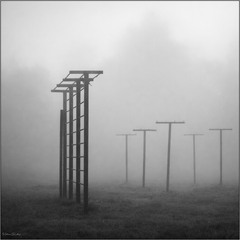 Міські тумани...