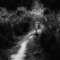 Якщо довго йти по стежці...