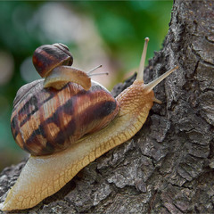 Мені додому, а в мене ноги...