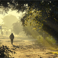 Міські тумани...