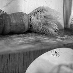 Хроніка залишених домівок...