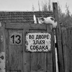 П'ятниця! Тринадцяте!