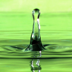 GREEN WATER