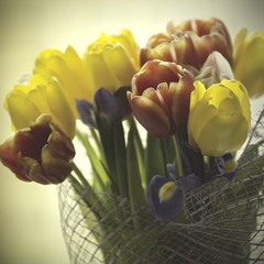 март без тюльпанов-не март=)