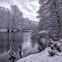 Озеро Бурбах Германия