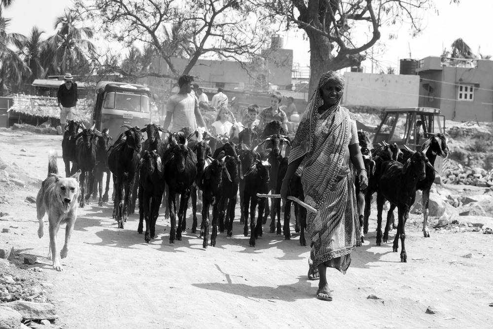 Black india. Индия черно-белые. Индия чб. Черный цвет в Индии. Индия черно белые картинки.