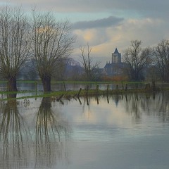 The flooded meadows of Beveren.